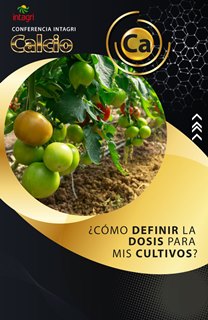 Curso Virtual Intagri El Calcio como Nutrimento en la Agricultura