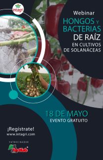 Webinar Gratuito: Hongos y Bacterias de Raíz Como Agentes Causales de Enfermedades en Cultivos de Solanáceas