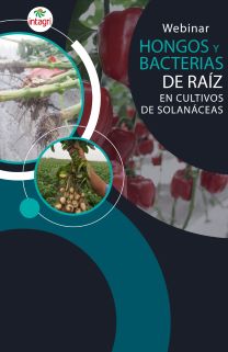 Webinar Gratuito: Hongos y Bacterias de Raíz Como Agentes Causales de Enfermedades en Cultivos de Solanáceas