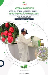 Webinar Gratuito: Aprende sobre los fertilizantes hidrosolubles, ácidos y quelatos para formular las mejores soluciones nutritivas para tus cultivos