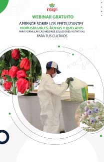 Webinar Gratuito: Aprende sobre los fertilizantes hidrosolubles, ácidos y quelatos para formular las mejores soluciones nutritivas para tus cultivos