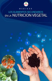 Webinar sobre Los Elementos Secundarios en la Nutricion vegetal