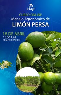 Curso Online Manejo Agronómico de Limón Persa