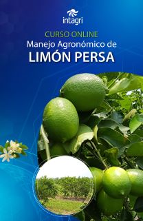 Curso Virtual Aspectos prácticos para el establecimiento y fertilización del cultivo de limón persa