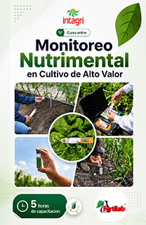 Curso Online Intagri Monitoreo Nutrimental en Cultivo de Alto Valor Curso Online Intagri Monitoreo Nutrimental en Cultivo de Alto Valor