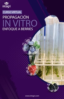 Propagación in vitro, enfoque a berries