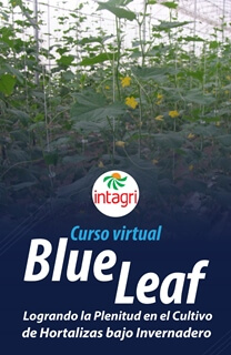 Curso virtual: Blue Leaf, Logrando la Plenitud en el Cultivo de Hortalizas Bajo Invernadero