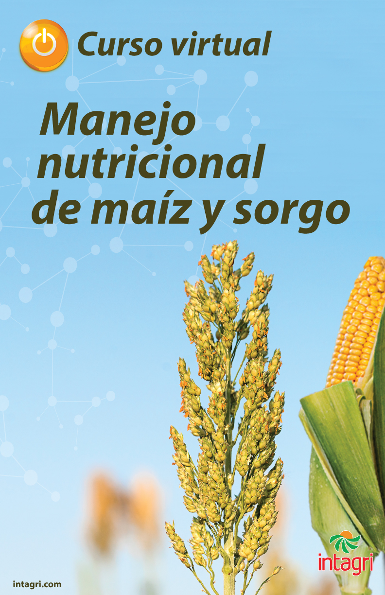 Curso Virtual: Manejo nutricional del maíz y sorgo