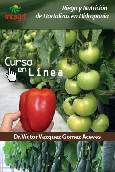 Curso virtual: Manejo del Riego y Nutrición de Hortalizas Hidropónicas (Tomate, Pimiento y Pepino)