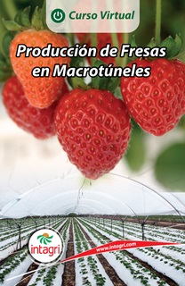 Curso virtual: Producción de Fresas en Macrotúneles