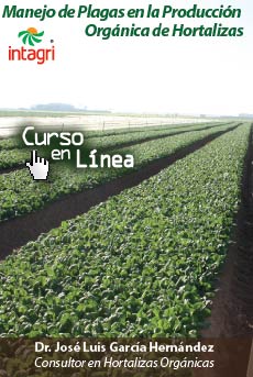 Curso virtual: Manejo y Control de Plagas en la Producción Orgánica de Hortalizas