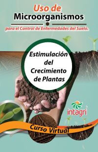 Curso virtual: Uso de Microorganismos para el Control de Enfermedades del Suelo