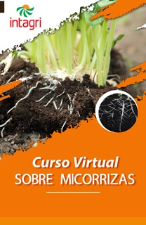 Curso Virtual Sobre Micorrizas
