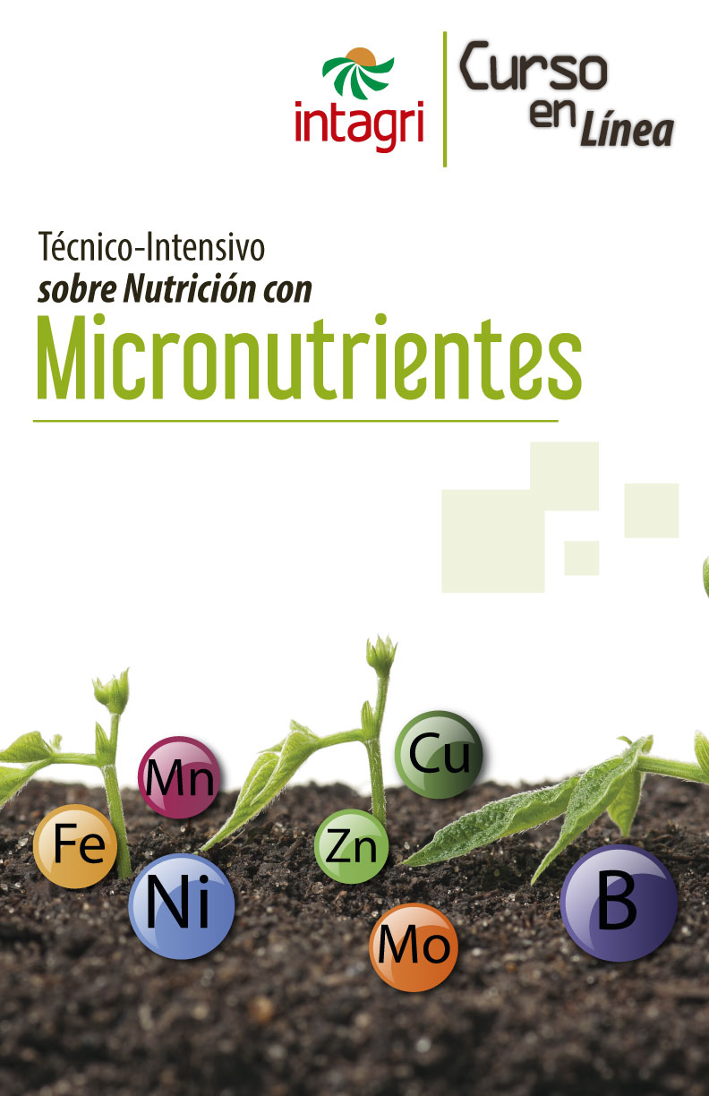 Seminario virtual: Micronutrientes para las plantas
