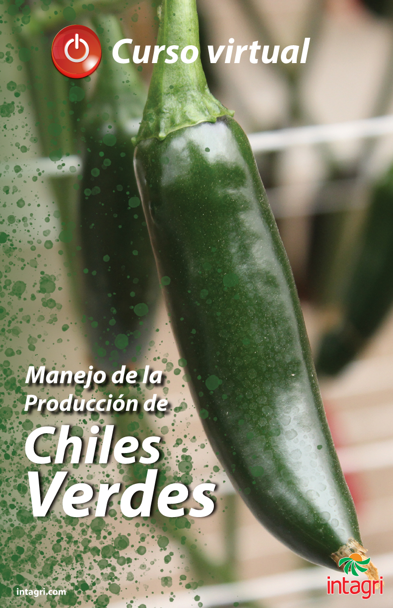 Curso virtual: Producción de Chiles Verdes