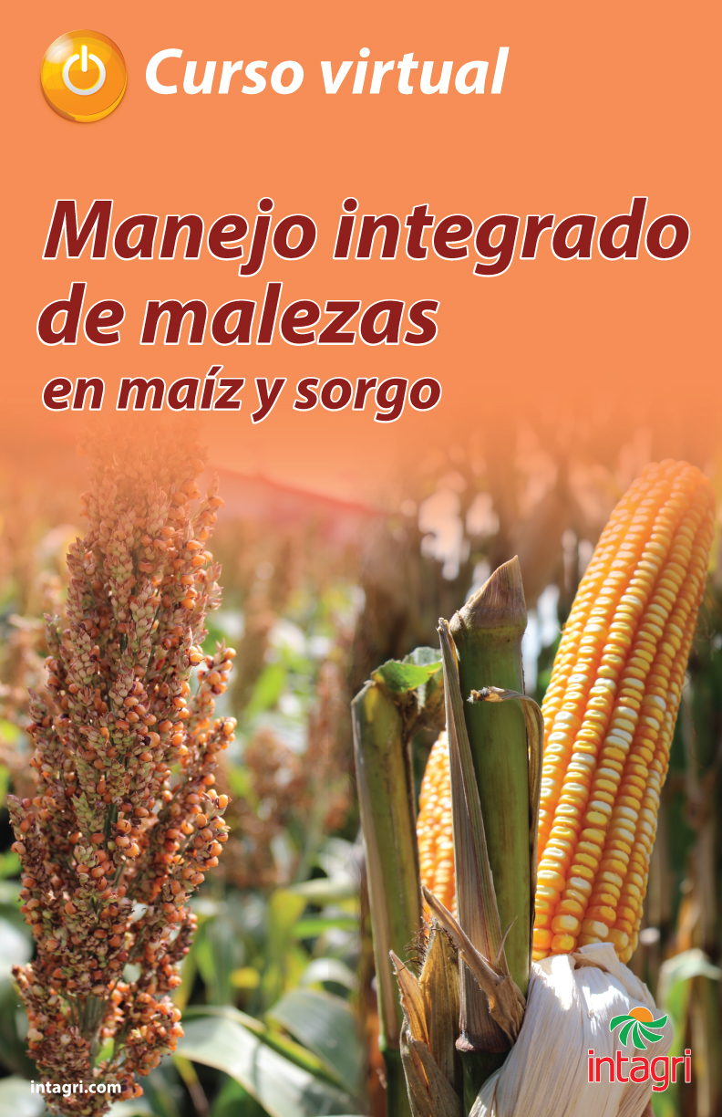 Curso virtual: Manejo Integrado de Malezas en Maíz y Sorgo