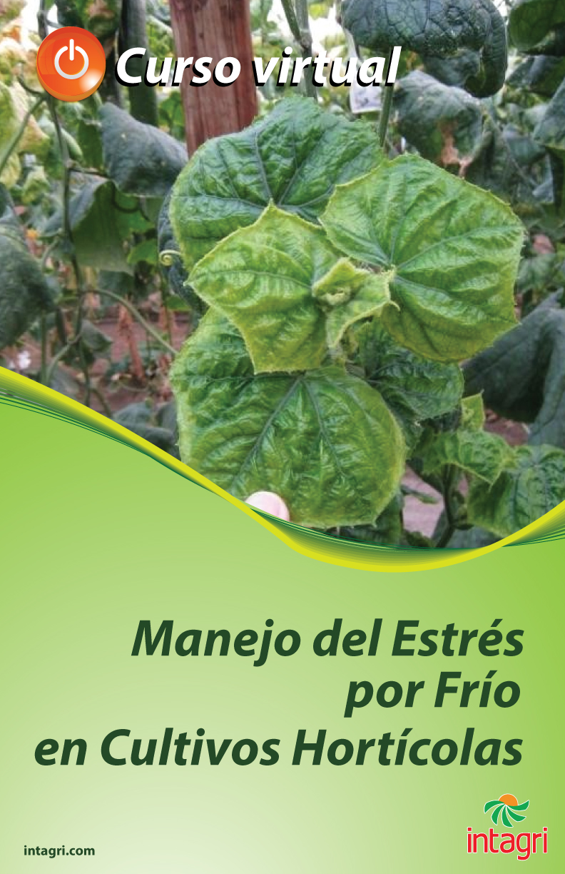 Curso virtual:  Manejo del Estrés por Frío en Cultivos Hortícolas