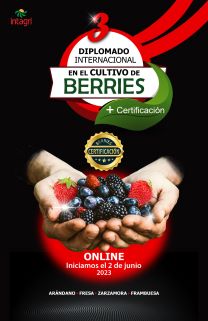 Diplomado Internacional en Cultivo de Berries