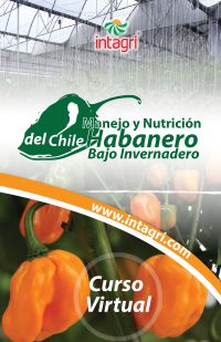 Curso virtual: Manejo y Nutrición del Chile Habanero Bajo Invernadero