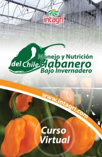 Curso virtual: Manejo y Nutrición del Chile Habanero Bajo Invernadero