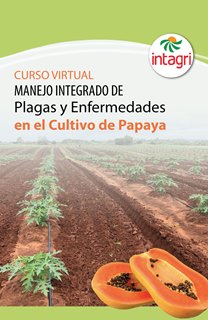 Manejo Integrado de Plagas y Enfermedades en el Cultivo de Papaya