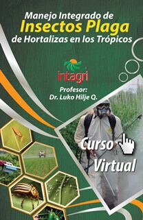 Curso Virtual: Manejo Integrado de Insectos Plaga de Hortalizas en los Trópicos