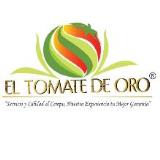 El Tomate de Oro