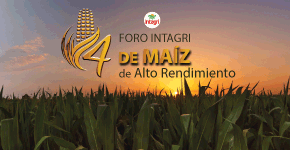 https://www.intagri.com/cursos/presenciales/cereales/foro-internacional-de-maiz-de-alto-rendimiento