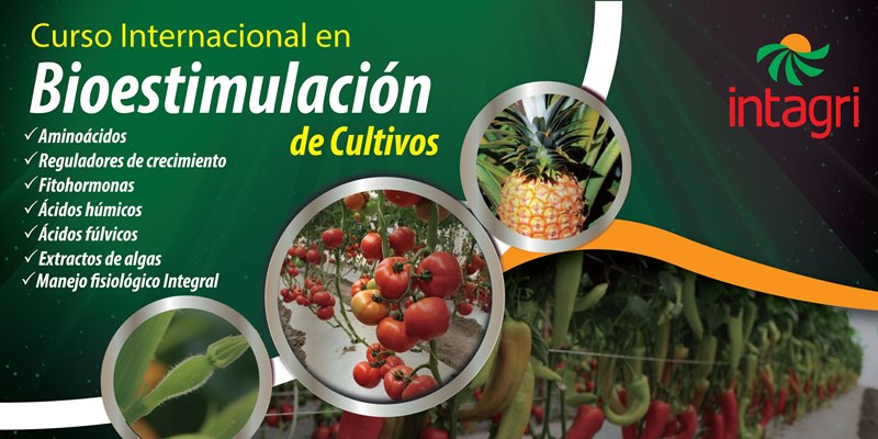 Curso Internacional en Bioestimulación de Cultivos