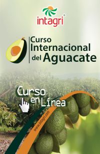 Seminario Virtual: El Cultivo de Aguacate