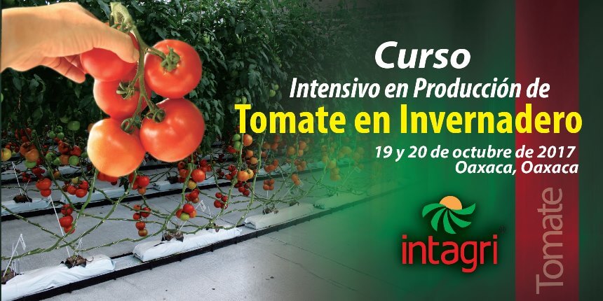 Curso de Producción de Tomate, Oaxaca