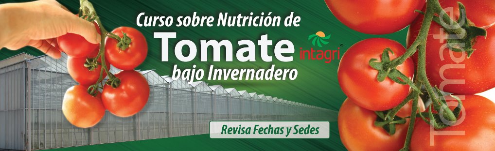 Curso de nutrición de Tomate, Acatzingo y Atlixco.