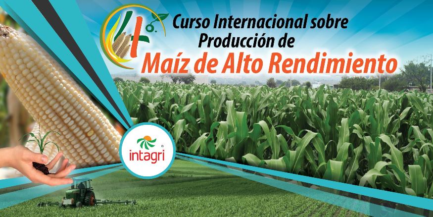 curso-de-maiz-de-alto-rendimiento