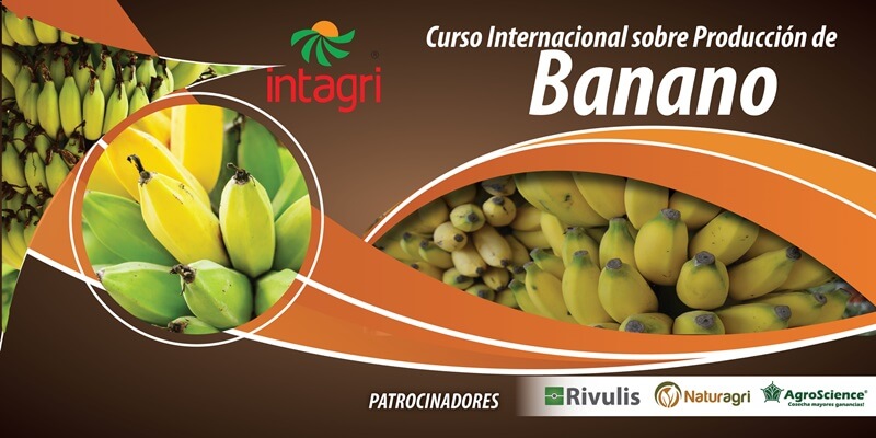 Curso Internacional sobre Producción de Banano