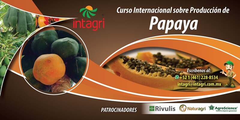 Curso Internacional sobre Producción de Papaya