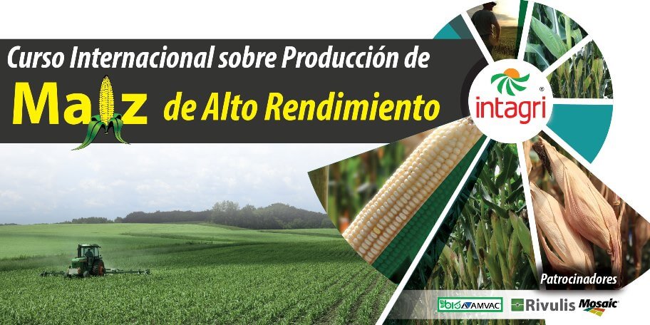 curso-de-maiz-de-alto-rendimiento