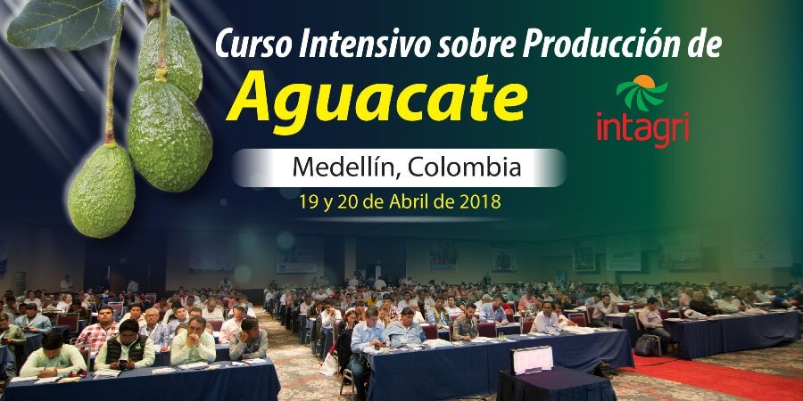 Curso Intensivo sobre Producción de Aguacate Colombia