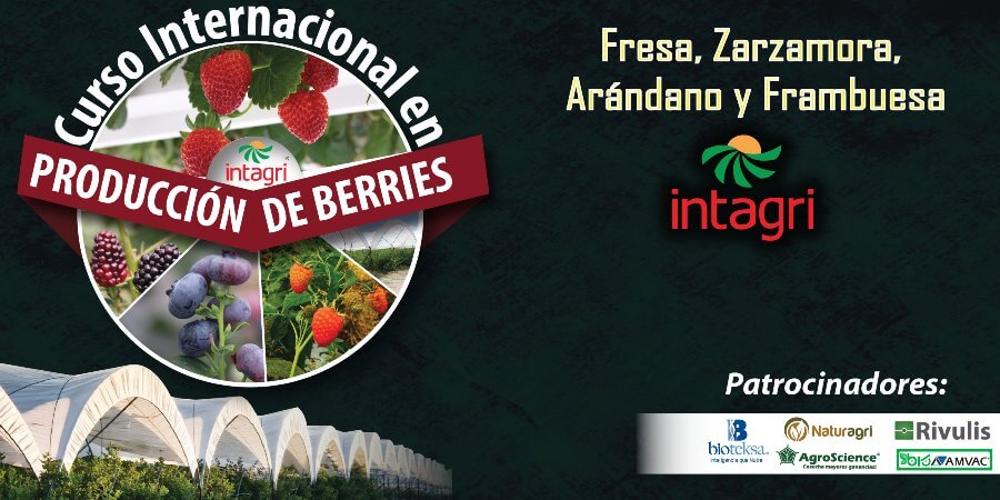 Curso Internacional en Producción de Berries Online