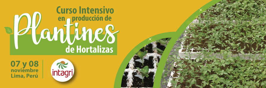 Produccion de plantines de hortalizas