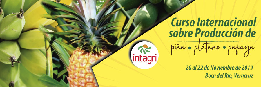 Curso Internacional sobre Producción de Piña, Banano y Papaya