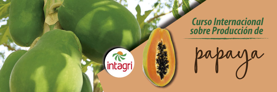 Curso Internacional sobre Producción de Papaya