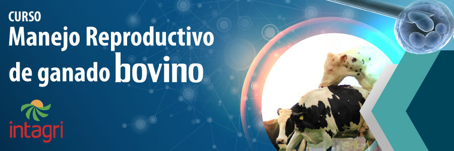 Manejo reproductivo de ganado Bovino