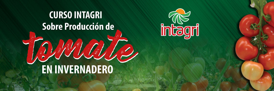 Producción de Tomate en Invernadero