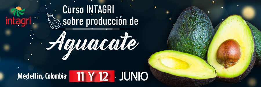 Curso de Aguacate