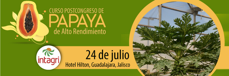 Cultivo de Papaya bajo Invernadero en el Sureste Español