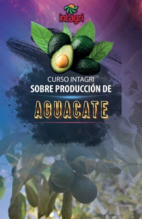 Curso Virtual INTAGRI sobre Producción de Aguacate