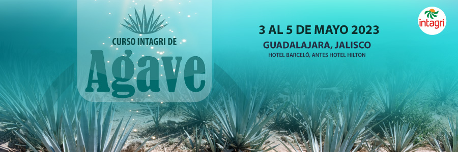 congreso de agave 