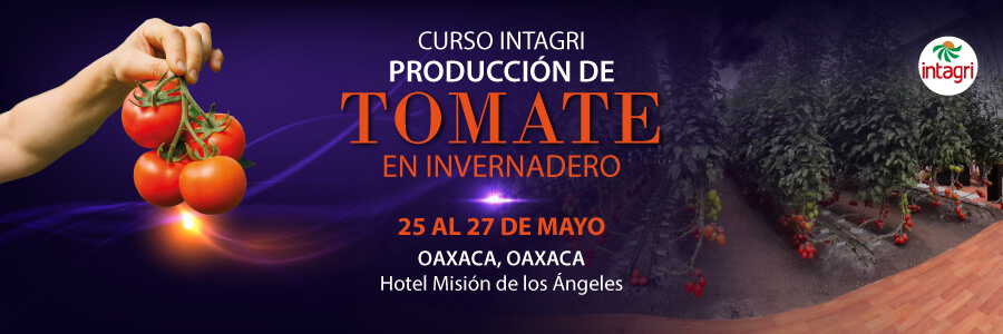 Manejo de tomate