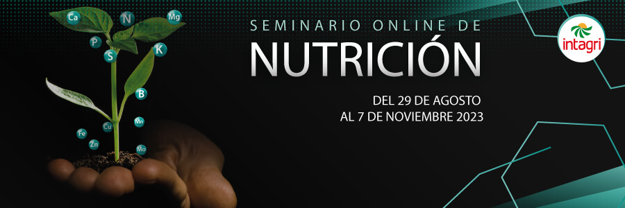 seminario de nutricion