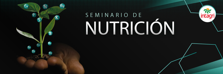 seminario de nutricion